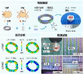 微小型压电机器人新设计｜提升运动与负载性能