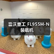 雷沃重工装载机FL955H-N性能优势解析 雷沃重工装载机FL955H-N性能优势解析