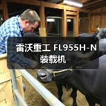 雷沃重工装载机FL955H-N性能优势解析 雷沃重工装载机FL955H-N性能优势解析