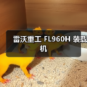 雷沃重工FL960H装载机性能优势解析