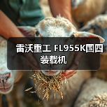 雷沃重工FL955K国四装载机优势解析|选购指南 雷沃重工FL955K国四装载机优势解析|选购指南