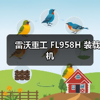 雷沃重工装载机性能优势解析｜FL958H核心参数与特点