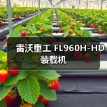 FL960H-HD装载机性能参数与优势解析｜选购指南