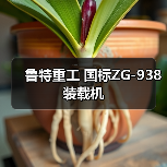 鲁特重工国标ZG-938装载机全攻略 鲁特重工国标ZG-938装载机全攻略