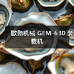 欧劲机械GEM-630装载机全攻略