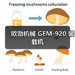 产品推荐