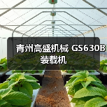 青州高盛机械装载机GS630B参数解析｜选购指南
