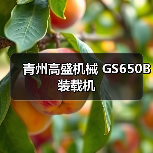 GS650B装载机性能优势与适用场景分析 GS650B装载机性能优势与适用场景分析