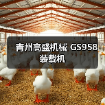 GS958装载机性能参数与优势解析|选购指南 GS958装载机性能参数与优势解析|选购指南