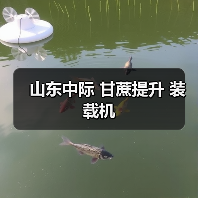 甘蔗提升装载机参数解析与优势分析 甘蔗提升装载机参数解析与优势分析