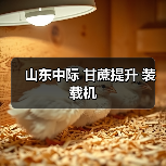 甘蔗提升装载机参数解析与优势分析 甘蔗提升装载机参数解析与优势分析