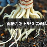 海格力斯H550装载机性能优势与应用场景分析 海格力斯H550装载机性能优势与应用场景分析