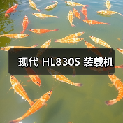 现代装载机HL830S参数与优势解析|选购指南 现代装载机HL830S参数与优势解析|选购指南