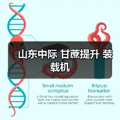 甘蔗提升装载机参数解析与优势分析 甘蔗提升装载机参数解析与优势分析