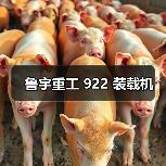 鲁宇重工922装载机全攻略