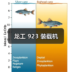 龙工923装载机全攻略 龙工923装载机全攻略