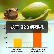 龙工923装载机全攻略 龙工923装载机全攻略