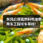 东风启辰氢燃料电池车工程样车亮相｜重要里程碑