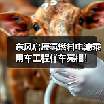 东风启辰氢燃料电池车工程样车亮相｜重要里程碑