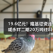 隆基增资通威二期20万吨硅料项目合作进展 隆基增资通威二期20万吨硅料项目合作进展