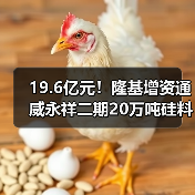 隆基增资通威二期20万吨硅料项目合作进展 隆基增资通威二期20万吨硅料项目合作进展