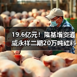 隆基增资通威二期20万吨硅料项目合作进展 隆基增资通威二期20万吨硅料项目合作进展