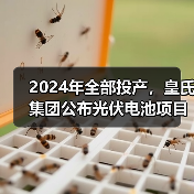 皇氏集团光伏电池项目新进展|投产计划 皇氏集团光伏电池项目新进展|投产计划