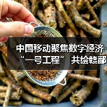 中国移动聚焦数字经济“一号工程”共绘赣鄱“精彩画卷”全攻略