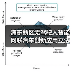 浦东新区智能网联汽车立法通过｜全攻略