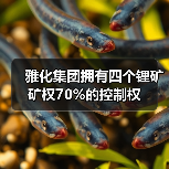 雅化集团获4锂矿权70%控制权｜全攻略