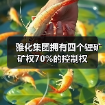 雅化集团获4锂矿权70%控制权｜全攻略