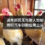 浦东新区智能网联汽车立法通过｜全攻略