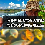 浦东新区智能网联汽车立法通过｜全攻略