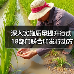 18部门联合印发质量提升行动方案全攻略
