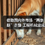 工程机械国内外市场双轮驱动成就亮眼 工程机械国内外市场双轮驱动成就亮眼