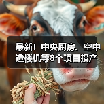中央厨房空中造楼机8项目投产,提升产业竞争力 中央厨房空中造楼机8项目投产,提升产业竞争力