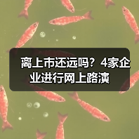 企业网上路演进行时｜全攻略