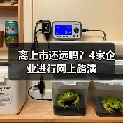 企业网上路演进行时｜全攻略