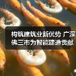 构筑建筑业新优势广深佛三市为智能建造贡献广东力量全攻略