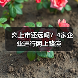 企业网上路演进行时｜全攻略