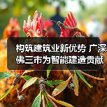 构筑建筑业新优势广深佛三市为智能建造贡献广东力量全攻略