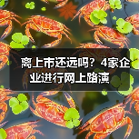 企业网上路演进行时｜全攻略
