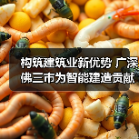 构筑建筑业新优势广深佛三市为智能建造贡献广东力量全攻略