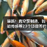23个项目签约落户推动产业升级|产业投资全攻略 23个项目签约落户推动产业升级|产业投资全攻略