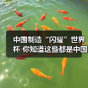 中国制造闪耀世界杯｜全球影响力解析