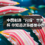中国制造闪耀世界杯｜全球影响力解析
