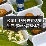 15处煤矿通过一级安全标准公示｜安全达标名单公布
