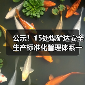 15处煤矿通过一级安全标准公示｜安全达标名单公布