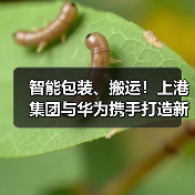 智慧港口新标杆｜上港集团华为合作打造智能物流体系