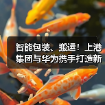 智慧港口新标杆｜上港集团华为合作打造智能物流体系